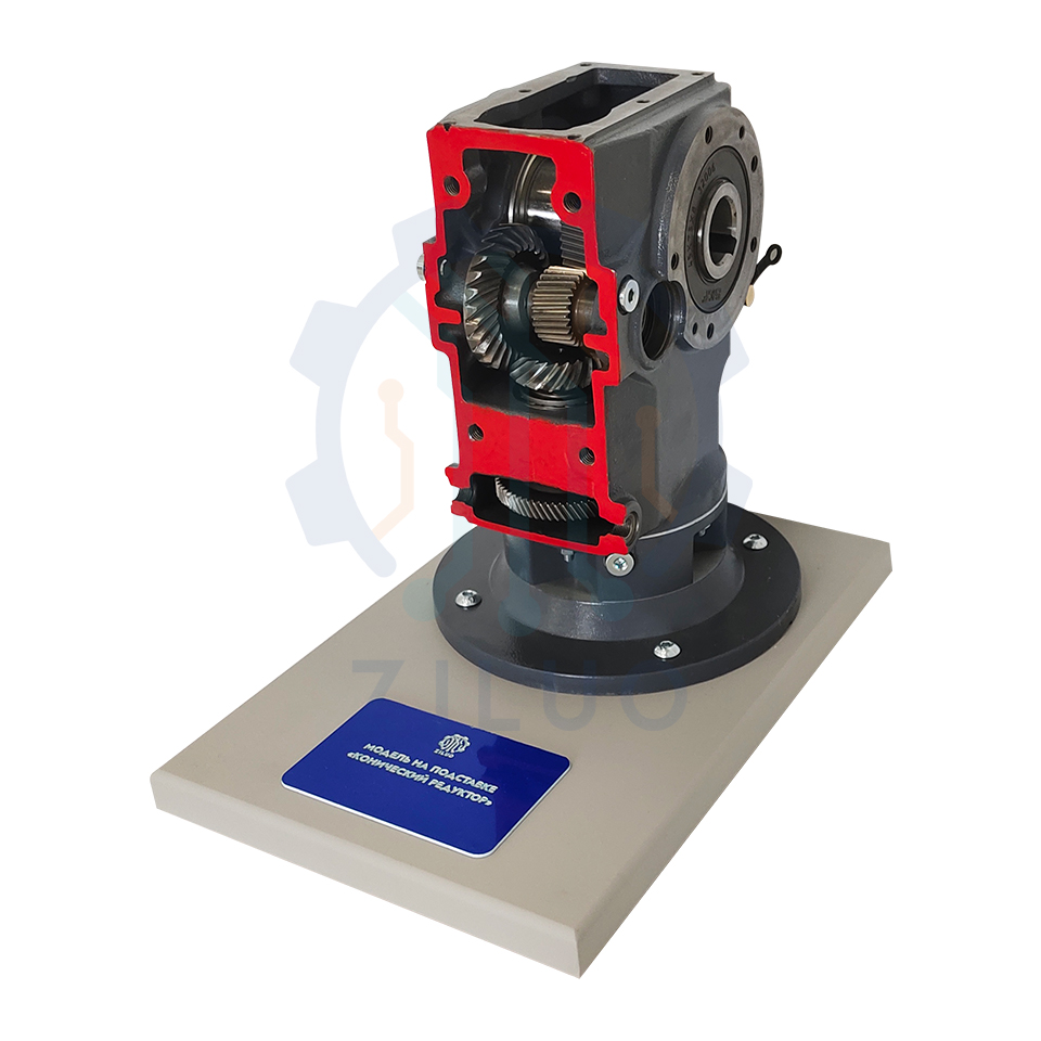 ЛС0402 Модель на подставке «Конический редуктор»